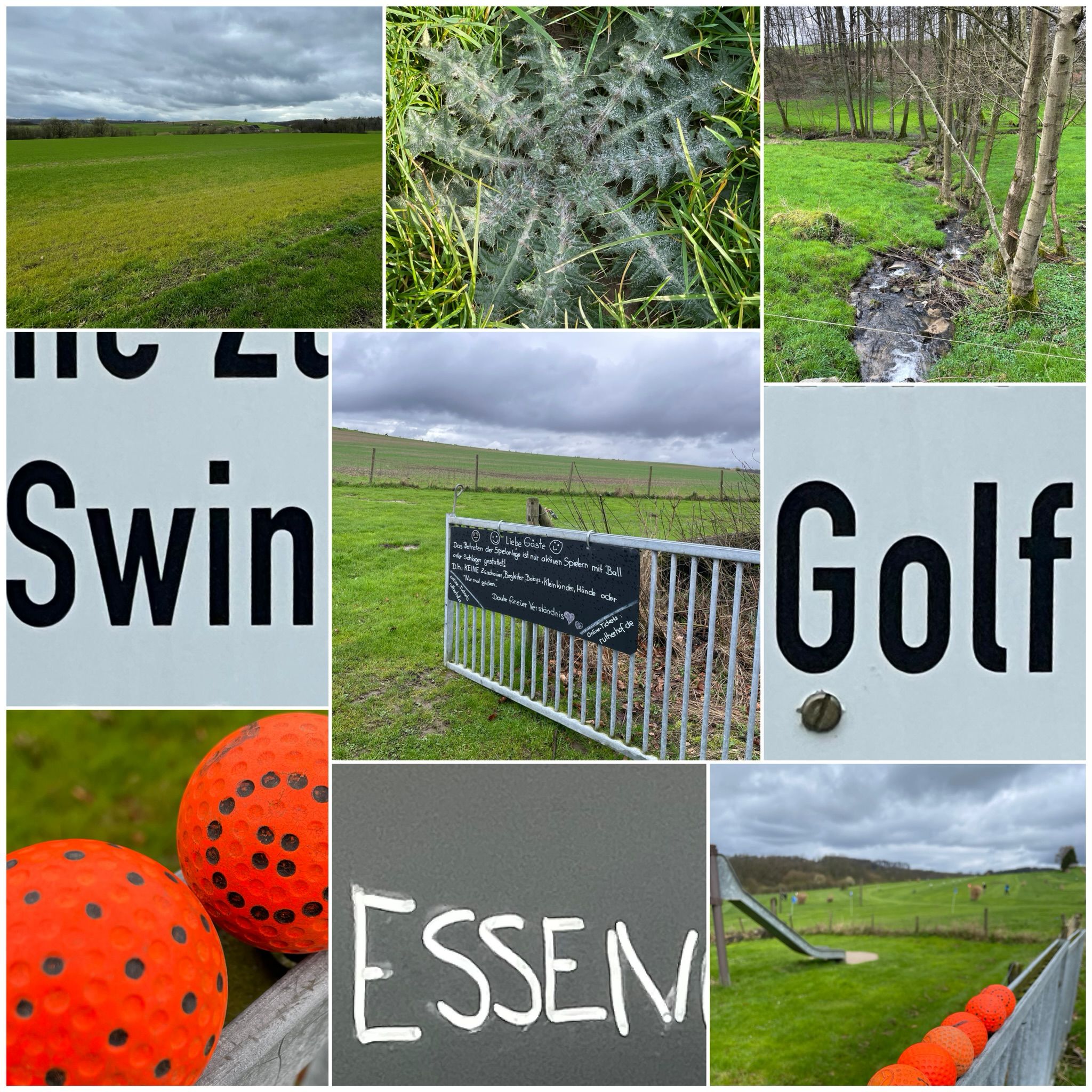 Swingolf in Essen